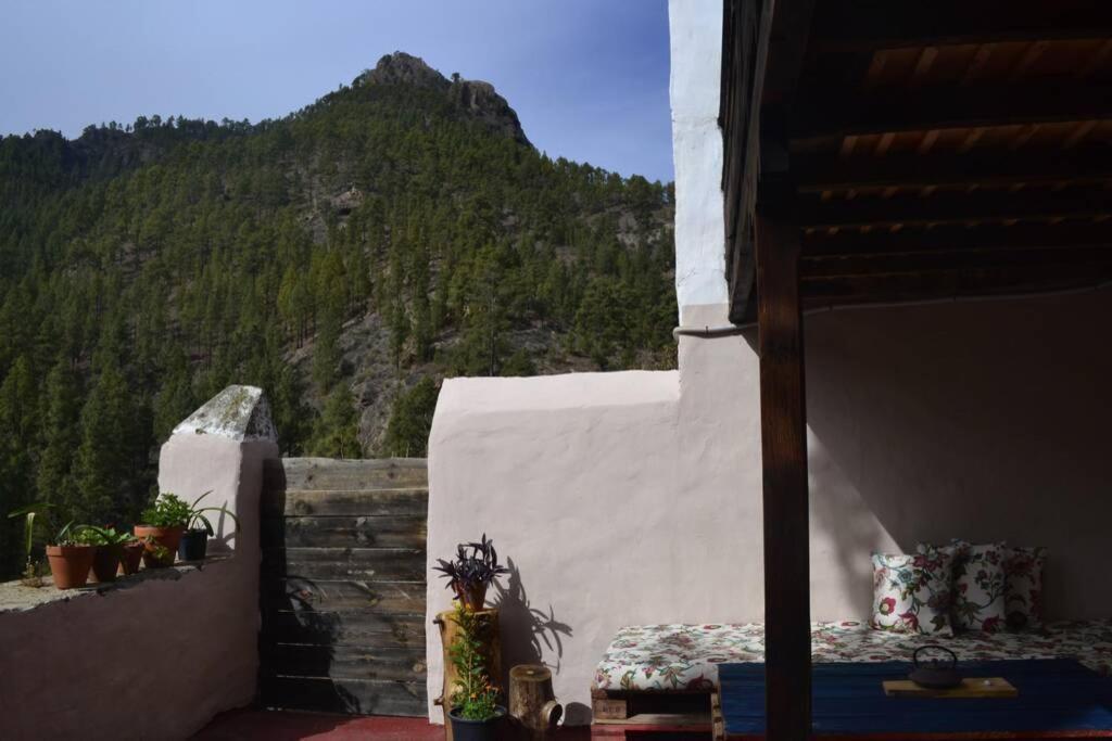 Casa Rural Lomito Del Pino 테헤다 외부 사진