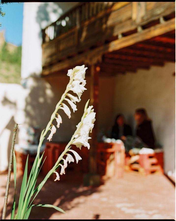 Casa Rural Lomito Del Pino 테헤다 외부 사진