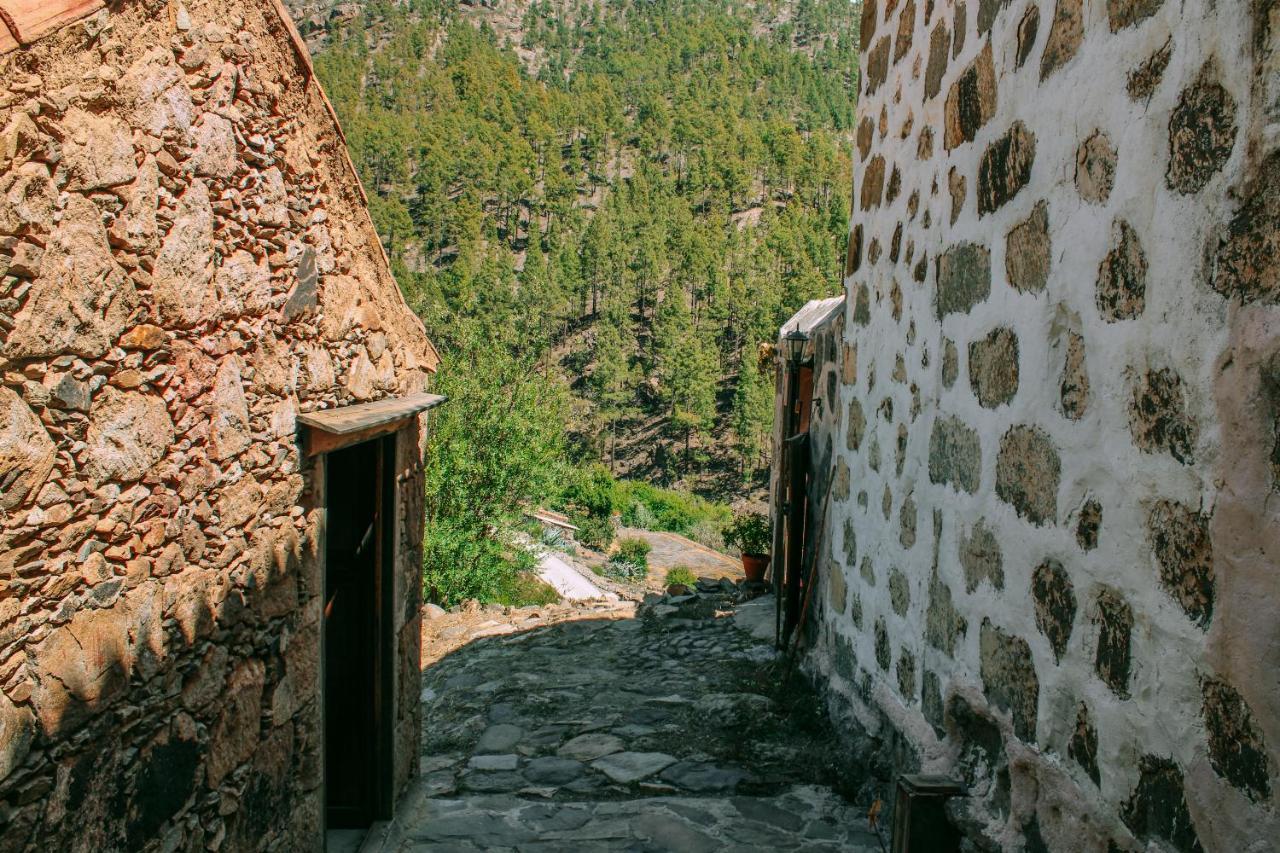 Casa Rural Lomito Del Pino 테헤다 외부 사진