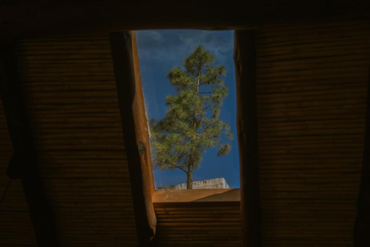 Casa Rural Lomito Del Pino 테헤다 외부 사진