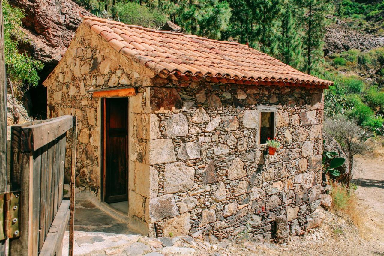 Casa Rural Lomito Del Pino 테헤다 외부 사진
