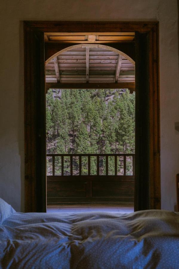 Casa Rural Lomito Del Pino 테헤다 외부 사진